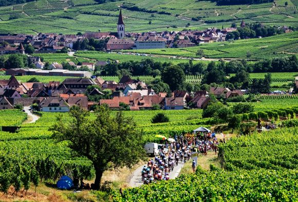 The Peloton (ph. Gruber)